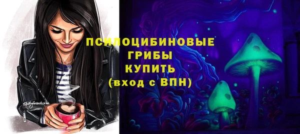 МДПВ Козловка