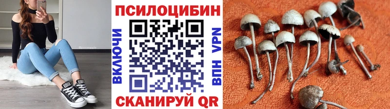 Галлюциногенные грибы MAGIC MUSHROOMS  нарко площадка клад  Новосиль  закладки 