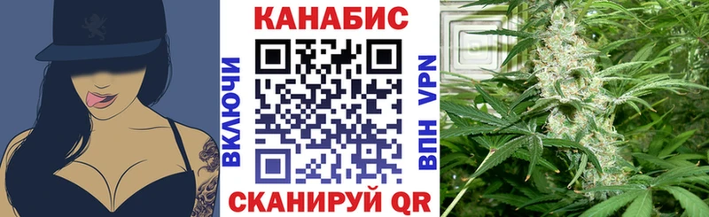 где купить наркоту  Новосиль  Шишки марихуана сатива 